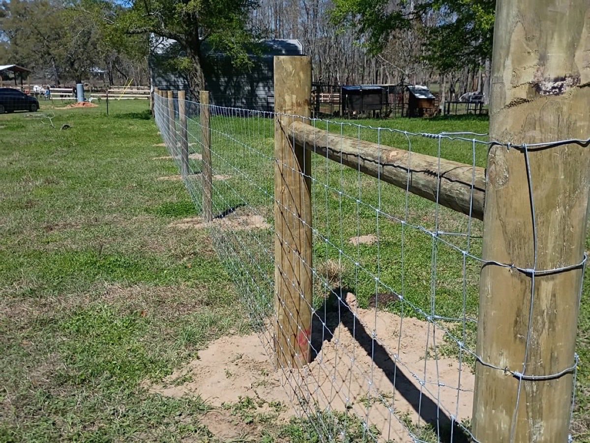 Round catch pen with wire panels and treated wood corner posts on an Alabama farm